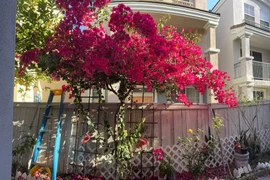 Ngôi nhà của cố ca sĩ Phi Nhung tại Mỹ giờ ra sao? 