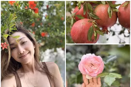 Khu vườn rực rỡ sắc hoa của Kim Hiền trước khi ly hôn chồng Việt kiều 