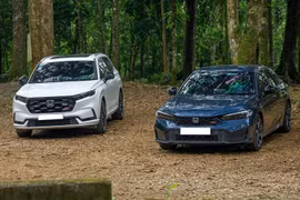 Xe máy và ôtô Honda tăng trưởng mạnh trong tháng 6/2025