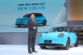 Chi tiết Ora Good Cat 2025 chạy điện, chỉ từ 349 triệu đồng