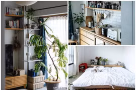 Mê mẩn căn hộ 55m2 "chất lừ" cô nàng độc thân