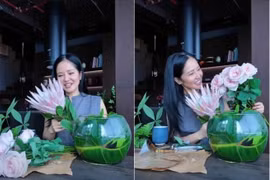 Cận cảnh không gian sống ngập tràn cây xanh của diva Hồng Nhung