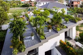 Ngôi nhà có vườn bậc thang trên mái độc đáo ở Nha Trang
