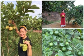 Cận cảnh nhà vườn trồng vô số trái cây của NSƯT Chiều Xuân