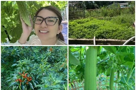 Khu vườn xanh mướt trong biệt thự của ca sĩ Phạm Thanh Thảo 