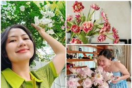 Biệt thự hiện đại của nữ diễn viên giải nghệ ở tuổi 40