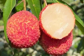 Vải thiều 700.000 đồng/kg đổ bộ chợ Việt ngon cỡ nào? 