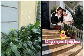 Khoảng xanh đắt giá trong biệt thự 300 tỷ của vợ chồng Việt Hương 