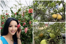 Khu vườn sum suê hoa trái trong biệt thự của 'Hoa hậu chưa có người kế vị' 