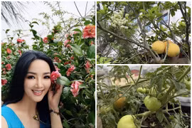 Khu vườn sum suê hoa trái trong biệt thự của 'Hoa hậu chưa có người kế vị' 