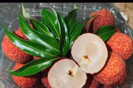 Loại vải đặc biệt 600.000 đồng/kg "cháy hàng" ngon cỡ nào?