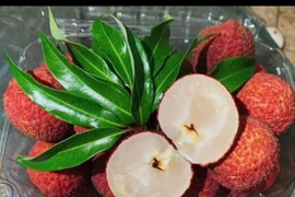 Loại vải đặc biệt 600.000 đồng/kg "cháy hàng" ngon cỡ nào?