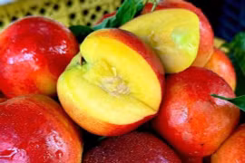 Hé lộ nguồn gốc đào trơn giá rẻ đang bán tràn lan thị trường