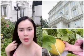 Vườn rau tốt um trong biệt thự 200 tỷ của Hoa hậu Phương Lê 