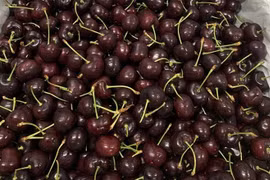 Cherry Mỹ đổ bộ thị trường Việt, giá rẻ kỷ lục 