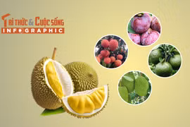 5 loại trái cây vào mùa rớt giá mạnh