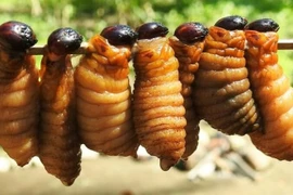 Côn trùng nhìn "khiếp vía" 600.000 đồng/kg vẫn đắt hàng