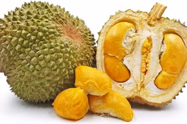 Cận cảnh giống sầu riêng 2 triệu đồng/trái được khách Việt săn lùng