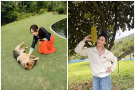 Biệt phủ 6.000m2 của mỹ nhân được chồng đại gia tổ chức lễ cưới nghìn tỷ