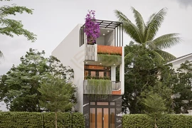 Những lưu ý không thể bỏ qua khi thiết kế nhà ống