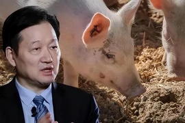 Bỏ phố về quê nuôi lợn, người đàn ông vào top giàu nhất thế giới