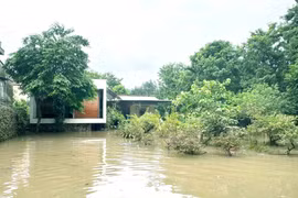 Ngôi nhà có khả năng thích ứng với ngập lụt ở Nghệ An 