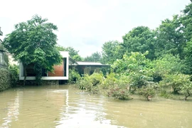 Ngôi nhà có khả năng thích ứng với ngập lụt ở Nghệ An 