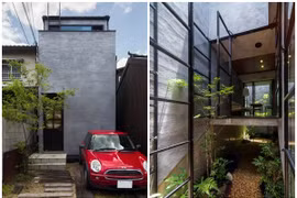 Không thiết kế cửa sổ, nhà ống vẫn ngập sáng lạ thường 