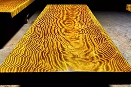 Tò mò loại gỗ quý hơn vàng ròng, không ai dám trồng