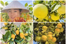 Khu vườn lúc lỉu trái cây trong biệt thự 30 tỷ của danh hài Thúy Nga 