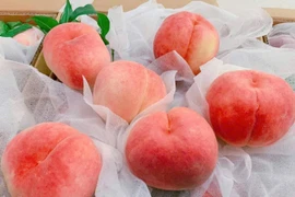 Đào tiên Trung Quốc 40.000 đồng/quả bán tràn lan chợ mạng 