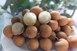 Trước khi rớt giá, nhãn bắp cải đắt đỏ cỡ nào?