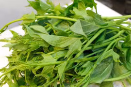 Loại rau người Việt cho lợn ăn, giá tiền triệu ở Mỹ 