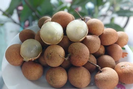 Trước khi rớt giá, nhãn bắp cải đắt đỏ cỡ nào?