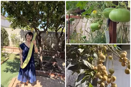 Nhà vườn 1.000m2 ngập rau củ của danh ca Hương Lan 