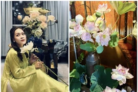 Căn nhà ngập hoa sen đẹp mê mẩn của BTV Hoàng Trang