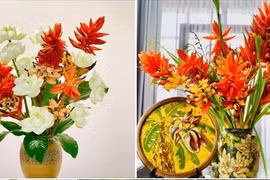 Từ bản xuống phố, cây mọc dại thành thú chơi đắt khách 