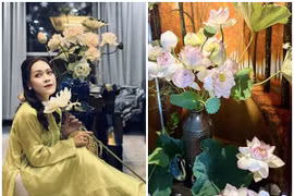 Căn nhà ngập hoa sen đẹp mê mẩn của BTV Hoàng Trang