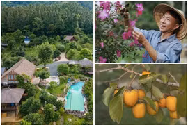 Toàn cảnh nhà vườn 10.000m2 ở Hà Nội của "ông hoàng nhạc đỏ"