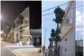 Cận cảnh ngôi nhà 'mỏng nhất Cần Thơ' đang gây sốt