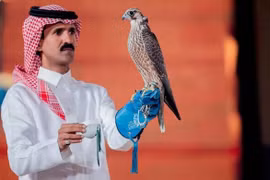 Đại gia "vung tiền" mua chim ưng hơn 2 tỷ đồng 