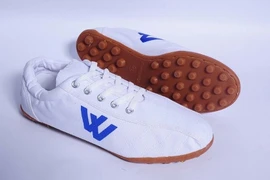 Hà Nội chuẩn bị thoái vốn, Giày Thượng Đình sắp đổi chủ? 