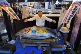 Những phiên đấu giá cao kỷ lục, gây 'sốt' thị trường đầu năm 2026