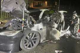 Cháy xe điện Tesla - tay nắm cửa ôtô cần mở được bằng cơ học