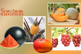 INFOGRAPHICS: 5 loại quả đắt nhất thế giới 