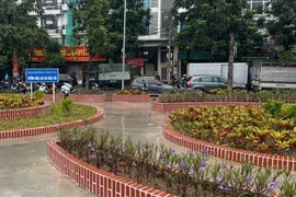  Cận cảnh loạt đường ống to, ống nhỏ xả thải xuống 'Ao cá Bác Hồ' ở Hà Nội