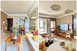 Cận cảnh căn hộ cũ 45m² 'rộng thênh thang' khiến mạng xã hội trầm trồ 