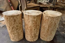 Tận thấy loại gỗ xưa dành cho vua chúa nay chục tỷ mỗi khúc 