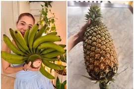 Cận cảnh "trái cây khổng lồ" trong khu vườn hơn 10.000m2 của Mỹ Lệ 