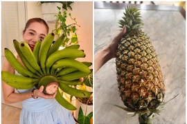 Cận cảnh "trái cây khổng lồ" trong khu vườn hơn 10.000m2 của Mỹ Lệ 